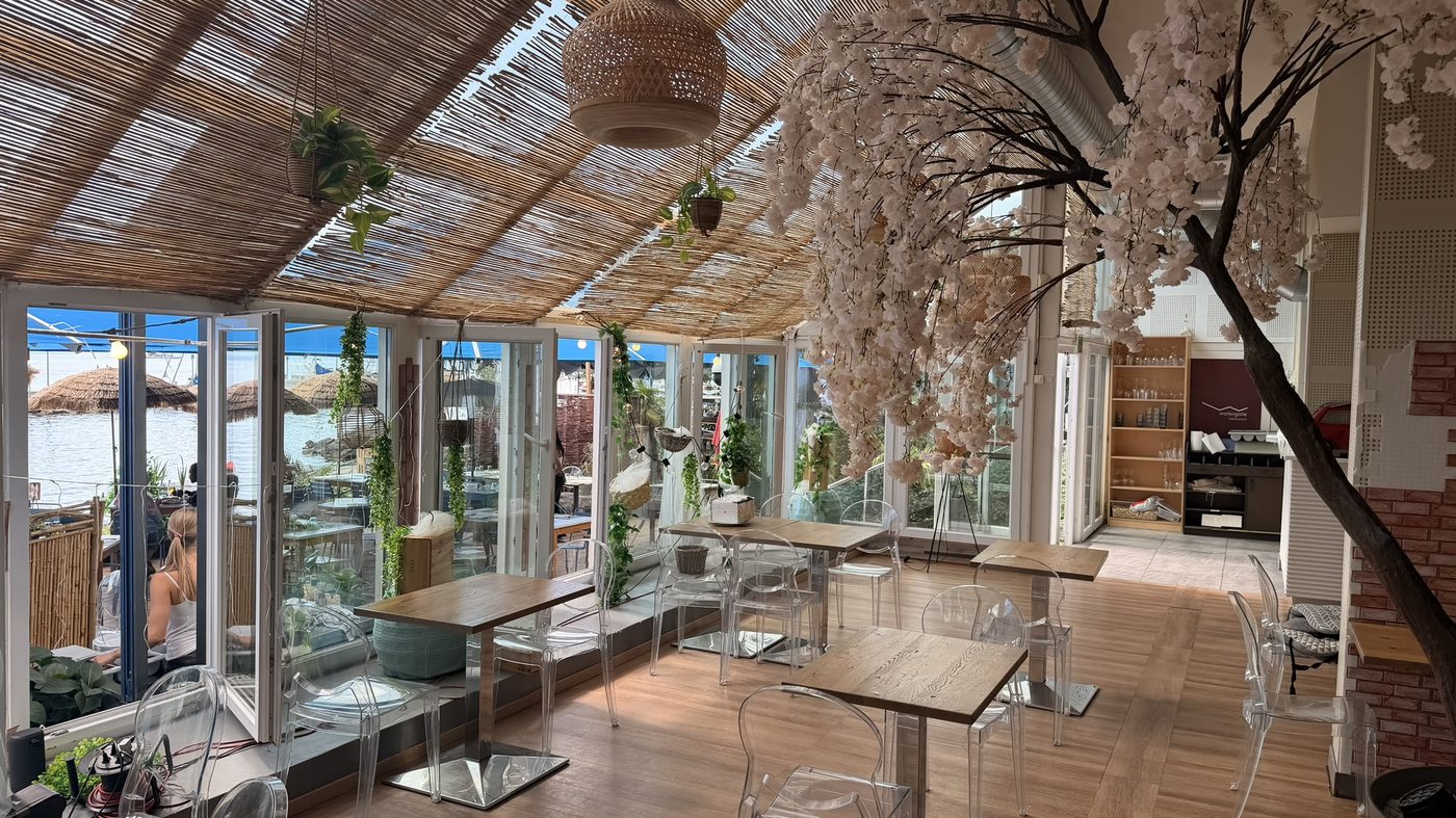 Véranda du Lido et son arbre en fleurs sous le toit de canisse